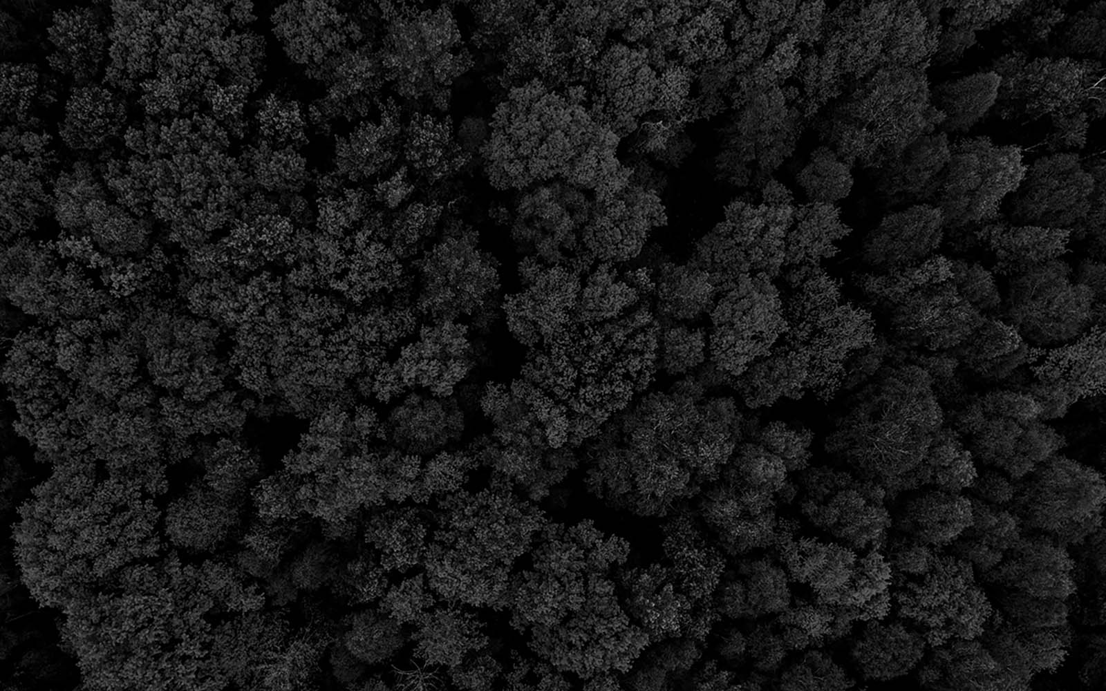 węgiel aktywny przyjazny dla środowiska