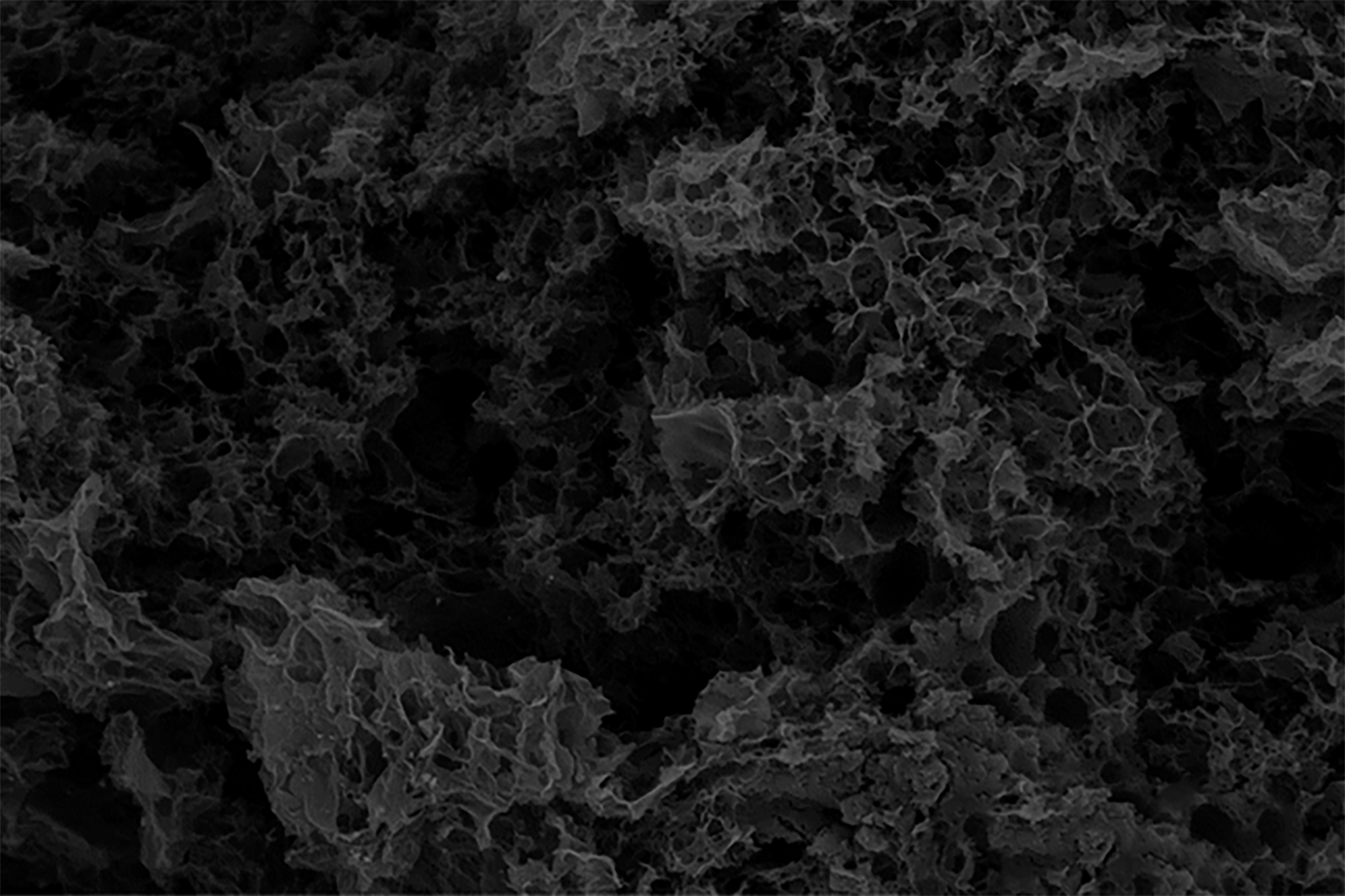 wydajny węgiel aktywny z łupin orzecha kokosowego