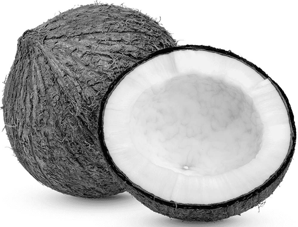 węgiel z łupin orzecha kokosowego